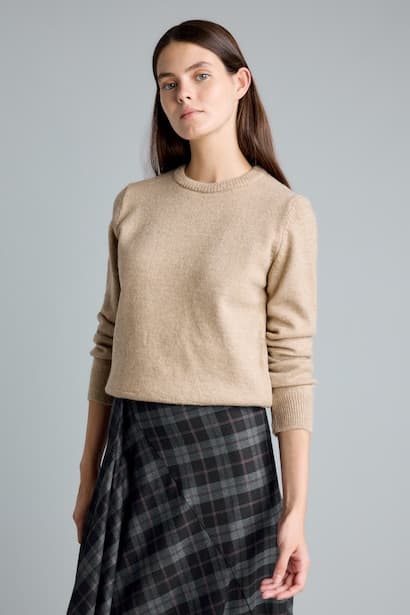 Regular Fit Basic Crew Neck Knit Pullover (٣)