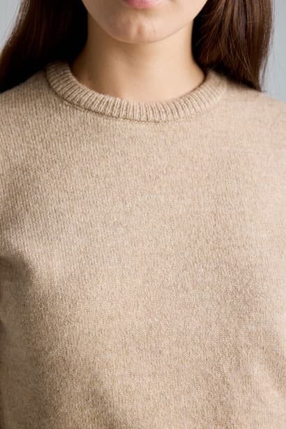 Regular Fit Basic Crew Neck Knit Pullover (٤)