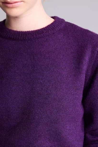 Regular Fit Basic Crew Neck Knit Pullover (٤)