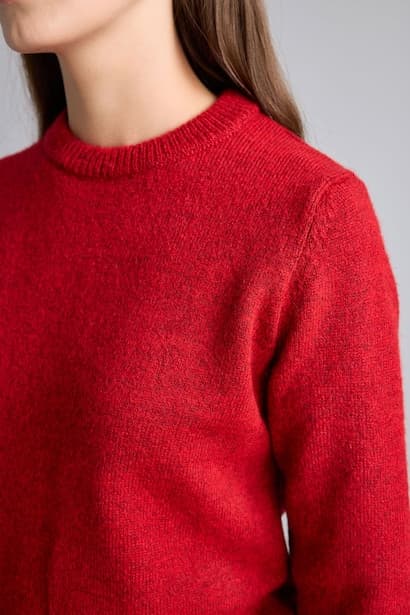 Regular Fit Basic Crew Neck Knit Pullover (٤)