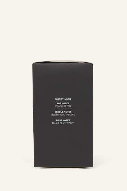 Man 100 ml Perfume (3)