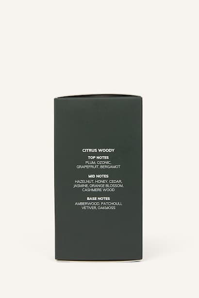 Man 100 ml Perfume (4)