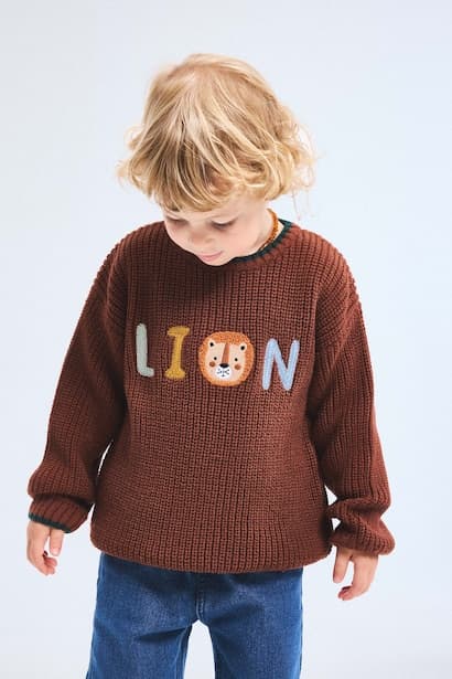 Baby Boy Oversize Fit Embroidery Detailed Knit Pullover