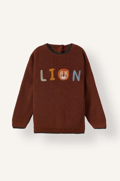 Baby Boy Oversize Fit Embroidery Detailed Knit Pullover (٤)