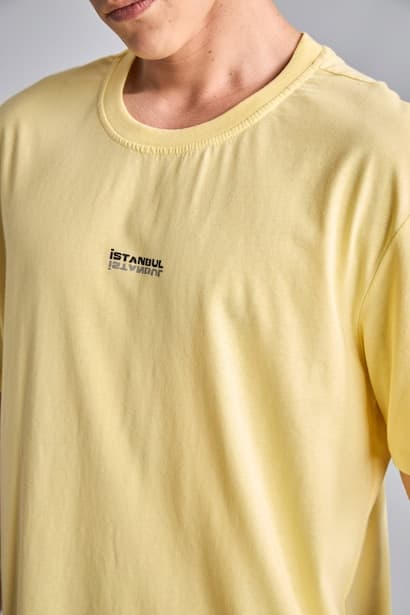 Regular Fit Crew Neck Printed Short Sleeve T-Shirt (٤)