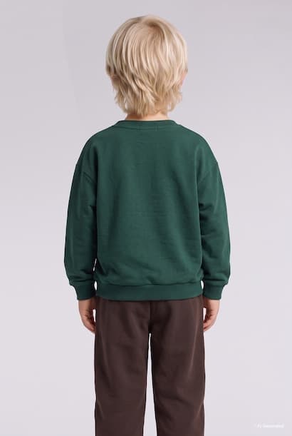 Baby Boy Bear Print Sweatshirt Joggers 2 Piece Set (3)