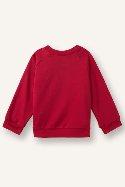 Baby Boy Oversize Cars Print Sweatshirt (4)