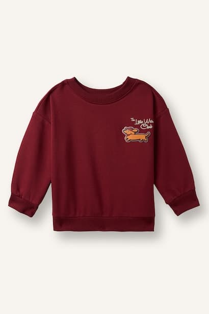 Baby Boy Oversize Animal Printed Soft Fuzzy Sweatshirt