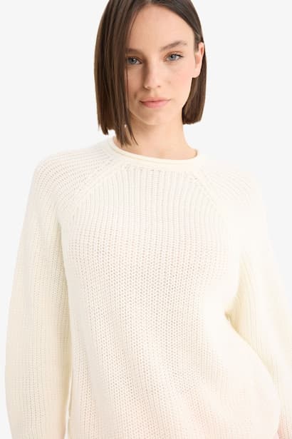 Regular Fit Crew Neck Basic Dress Pullover