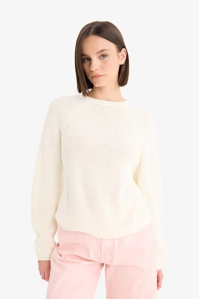 Regular Fit Crew Neck Basic Dress Pullover (٣)