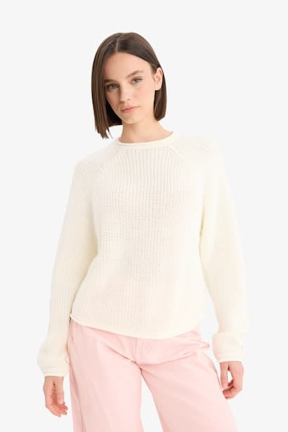 Regular Fit Crew Neck Basic Dress Pullover (٤)
