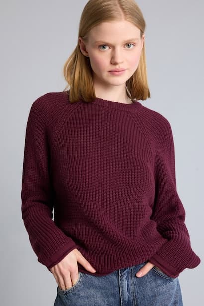 Regular Fit Basic Crew Neck Long Sleeve Knit Pullover