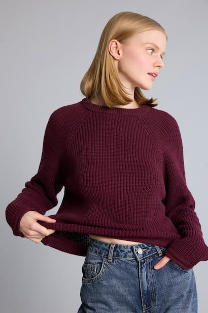 Regular Fit Basic Crew Neck Long Sleeve Knit Pullover (٣)