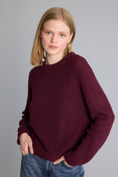 Regular Fit Basic Crew Neck Long Sleeve Knit Pullover (٤)