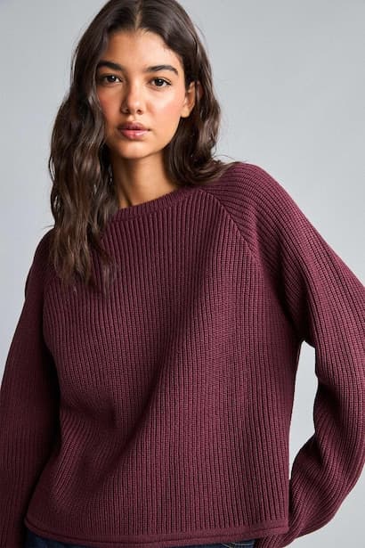 Regular Fit Crew Neck Basic Plain Knit Pullover