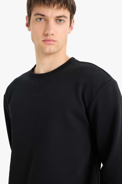 Regular Fit Crew Neck Basic Thick Sweatshirt