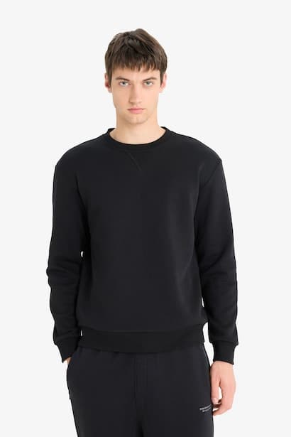 Regular Fit Crew Neck Basic Thick Sweatshirt (3)