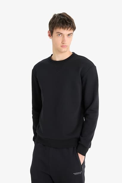 Regular Fit Crew Neck Basic Thick Sweatshirt (4)