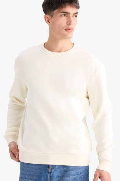 Regular Fit Crew Neck Basic Thick Sweatshirt