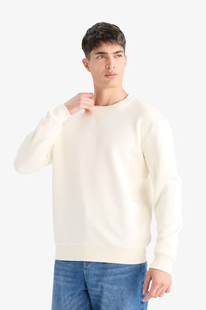 Regular Fit Crew Neck Basic Thick Sweatshirt (3)