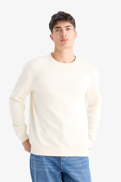 Regular Fit Crew Neck Basic Thick Sweatshirt (4)