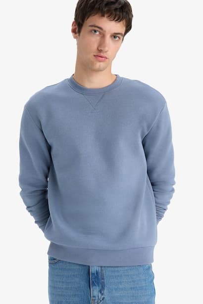 Regular Fit Crew Neck Basic Thick Sweatshirt
