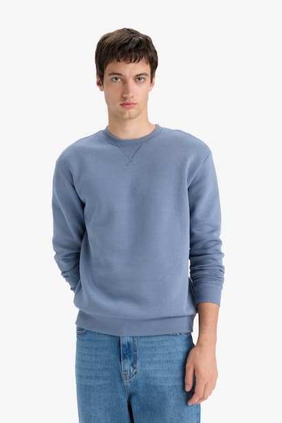 Regular Fit Crew Neck Basic Thick Sweatshirt (3)