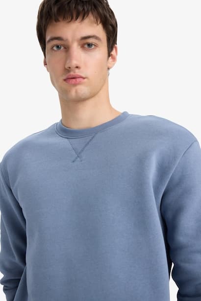 Regular Fit Crew Neck Basic Thick Sweatshirt (4)
