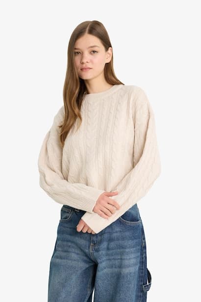 Regular Fit Crew Neck Knitted Pullover (3)