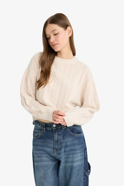 Regular Fit Crew Neck Knitted Pullover (4)