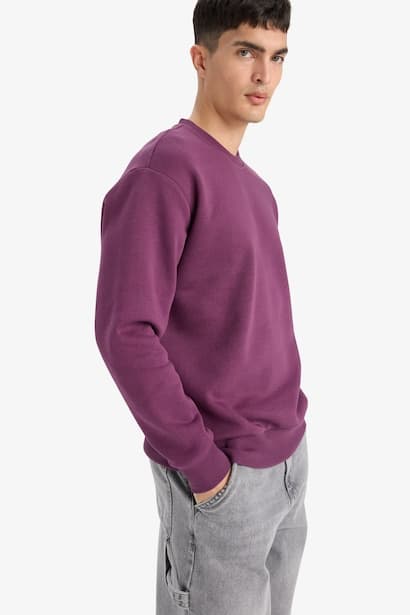 Relax Fit Crew Neck Thick Fabric Sweatshirt (٣)