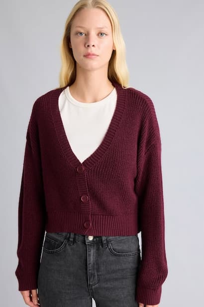 Regular Fit V-Neck Cardigan