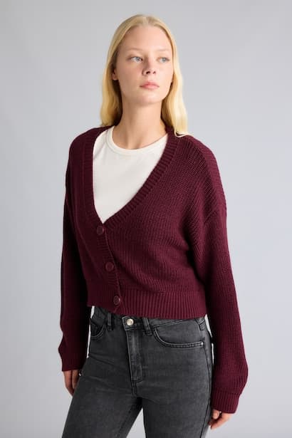 Regular Fit V-Neck Cardigan (٣)