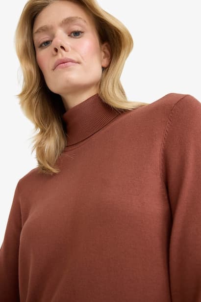 Regular Fit Pullover (4)