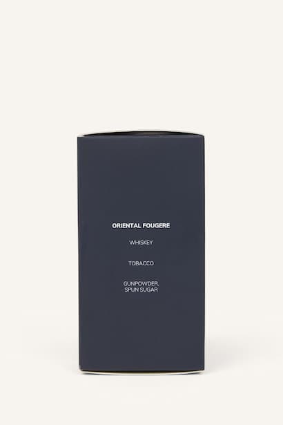 Man 100 ml Dusk Blue Perfume (3)