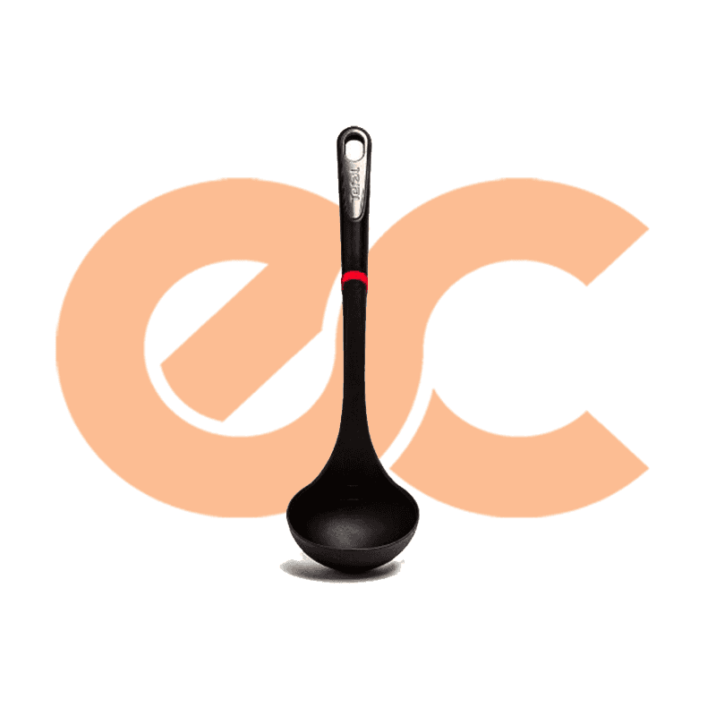 Tefal Ingenio Premium Ladle Black 3168430220553