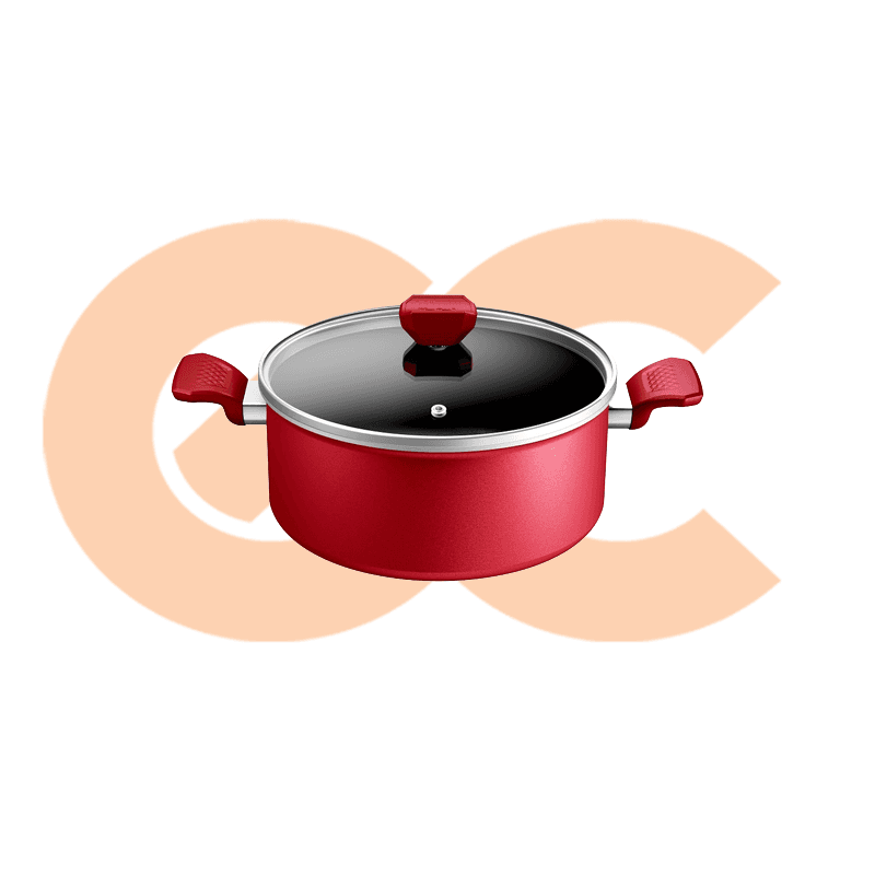 Tefal Expert Stewpot With Glass Lid, Size 24 6221064009745