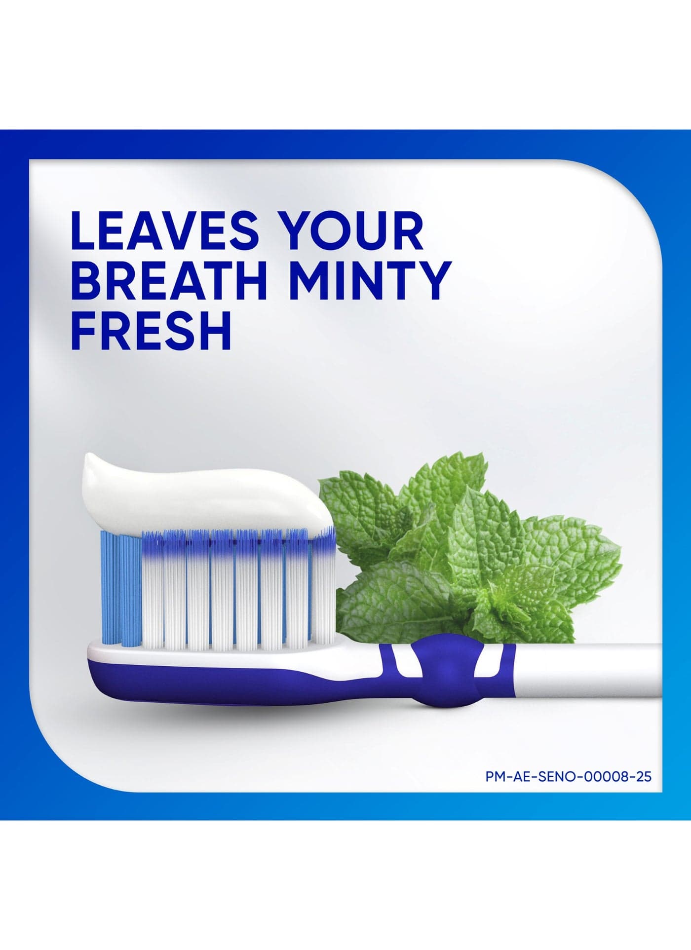 Toothpaste Rapid Action, Mint 75ml (٣)
