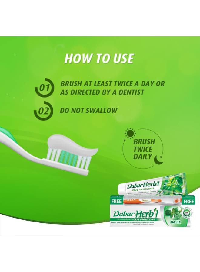 Herbal Natural Toothpaste For Oral Protection Dental Care Kit Basil 150grams (6)
