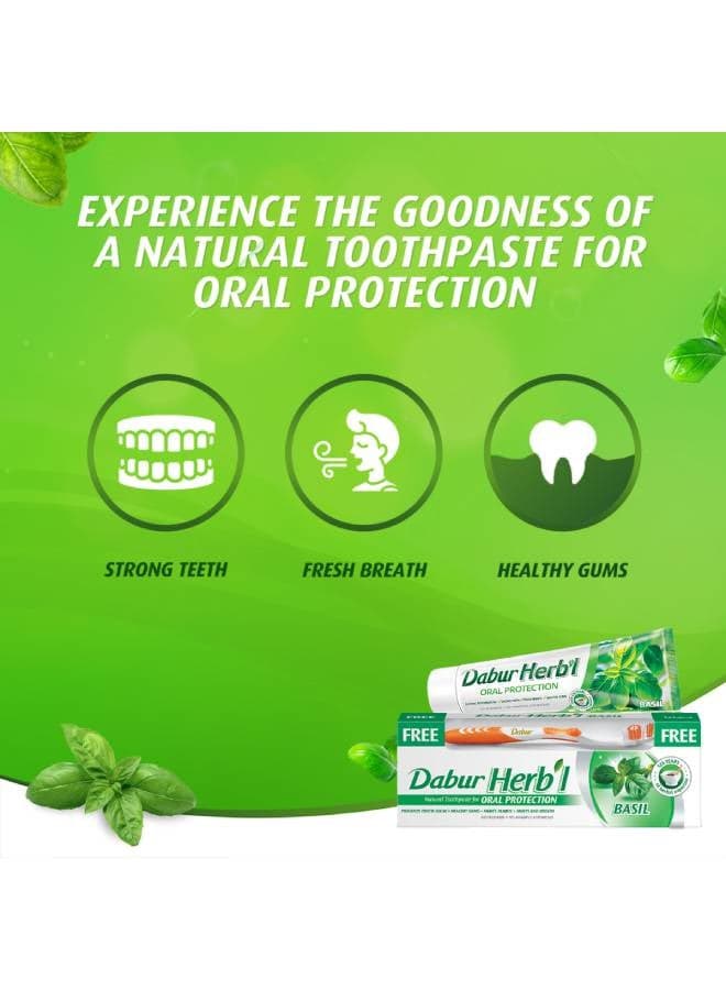 Herbal Natural Toothpaste For Oral Protection Dental Care Kit Basil 150grams (3)