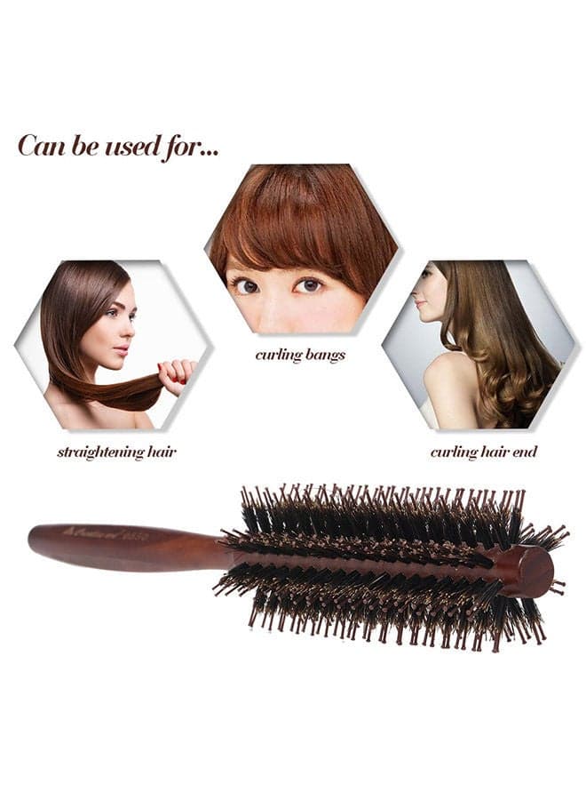 Hair Round Brush Multicolour Hair Combs (٥)