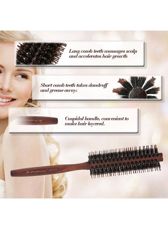 Hair Round Brush Multicolour Hair Combs (٦)