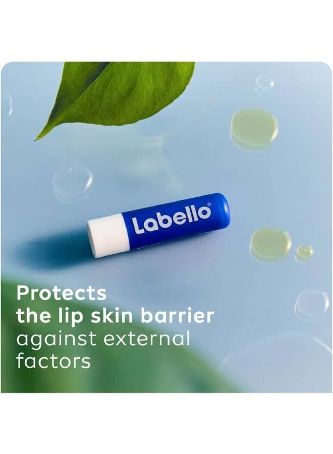 Lip Care, Moisturizing Lip Balm, Original with Shea Butter, 4.8grams (٣)
