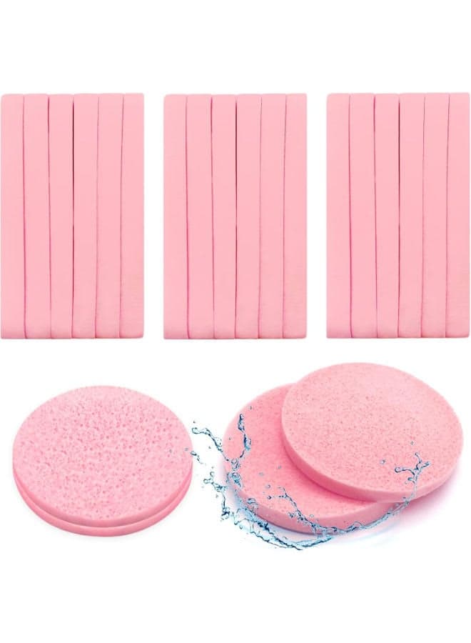 Compact Facial Sponge Multicolour Make Up Sponges
