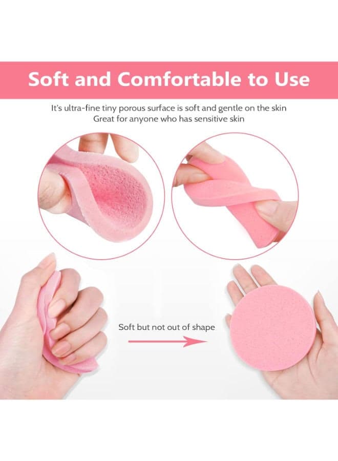 Compact Facial Sponge Multicolour Make Up Sponges (٥)