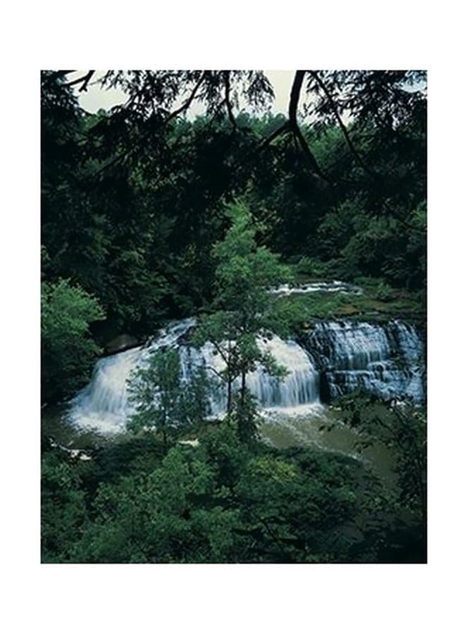 Decorative Wall Poster Green/White 15x20cm Posters & Prints