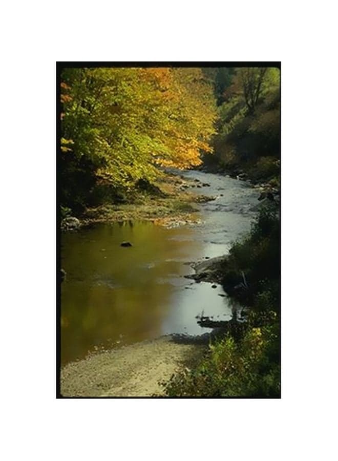Decorative Wall Poster Multicolour 15x20cm Posters & Prints