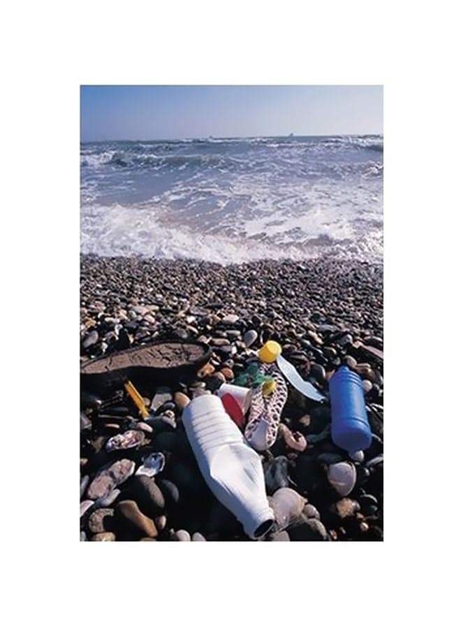 Decorative Wall Poster Multicolour 15x20cm Posters & Prints