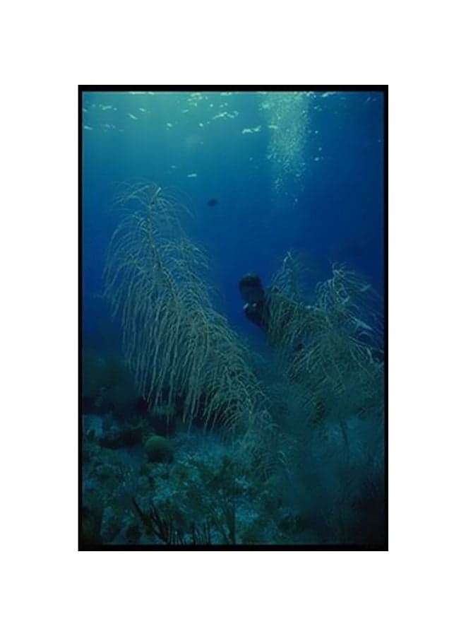Decorative Wall Poster Blue/Green 15x20cm Posters & Prints