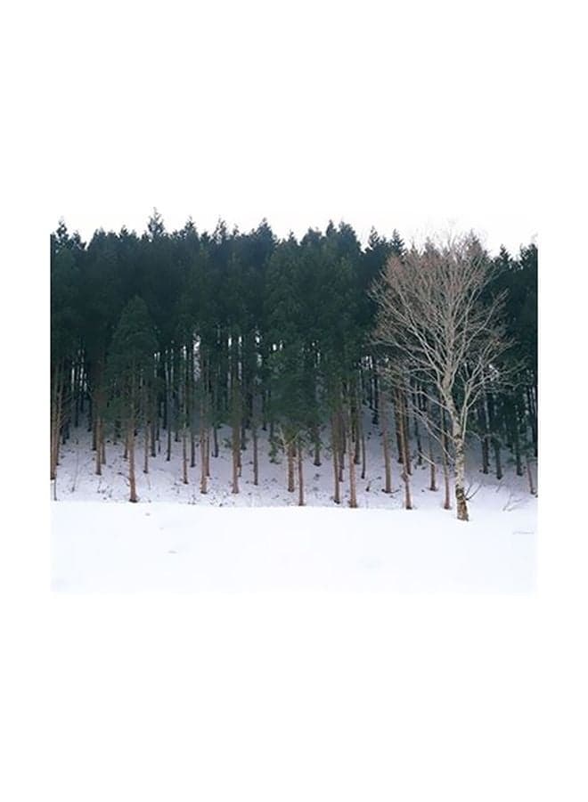 Decorative Wall Poster White/Green/Brown 15x20cm Posters & Prints